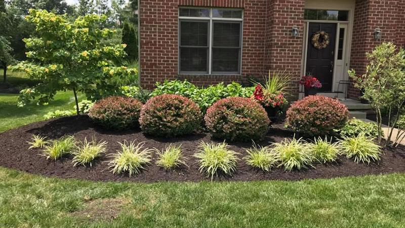 Landscaping Expert’s View: How Water Features Help