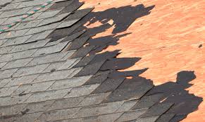 roof restoration Albion