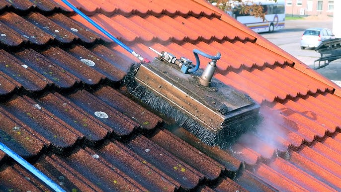 Rejuvenate and Protect: The Comprehensive Benefits of Professional Roof Cleaning Services