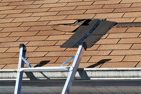 Everything You Need to Know about Roof Repair and Gutter Cleaning