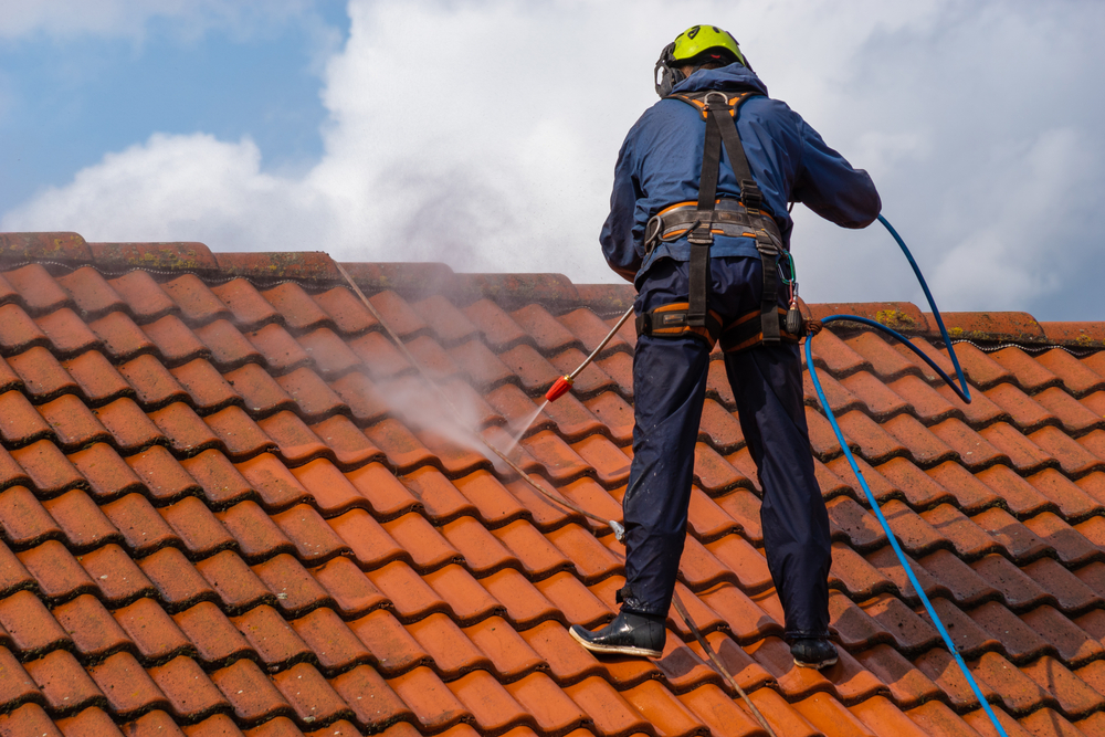 The Top Reasons to Choose Professional Roof Cleaning Services