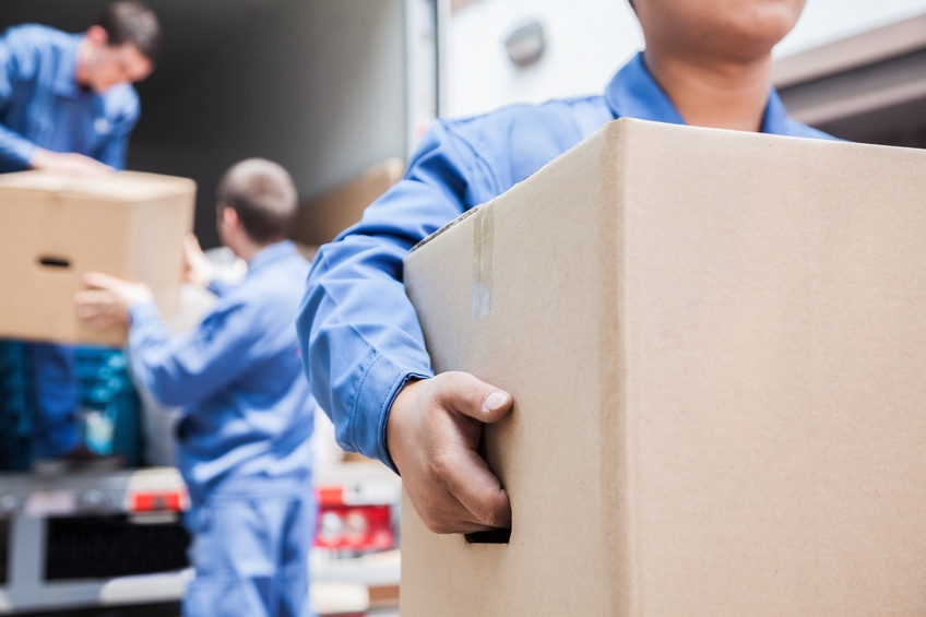 Expert Removalist in Williamstown for Packing and Moving Assistance