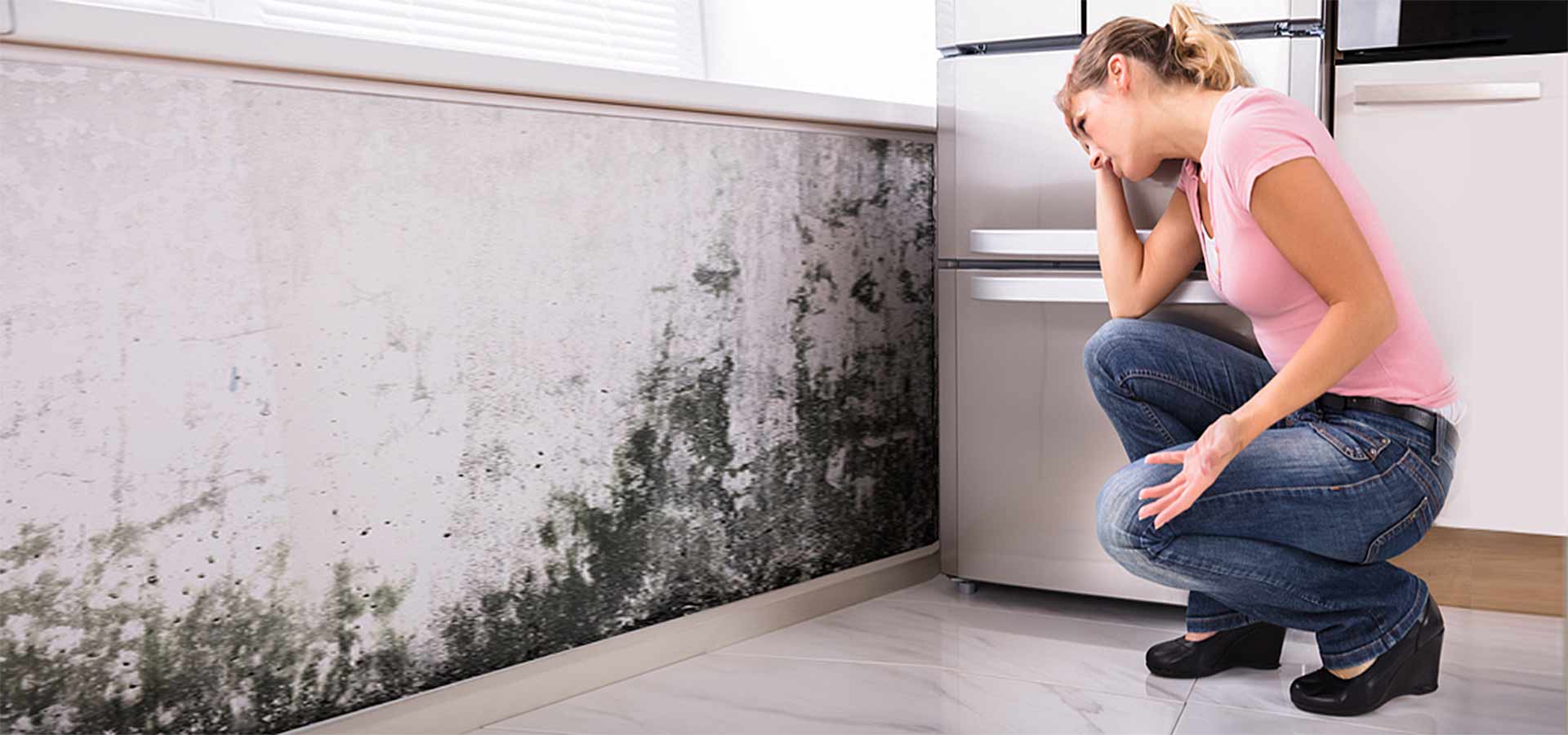 mould specialist Melbourne